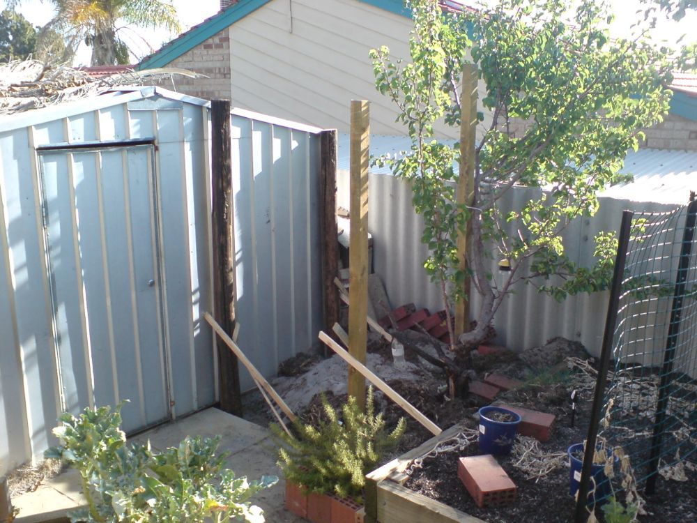 Initial construction frame